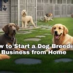 How to Start a Dog Breeding Business from Home